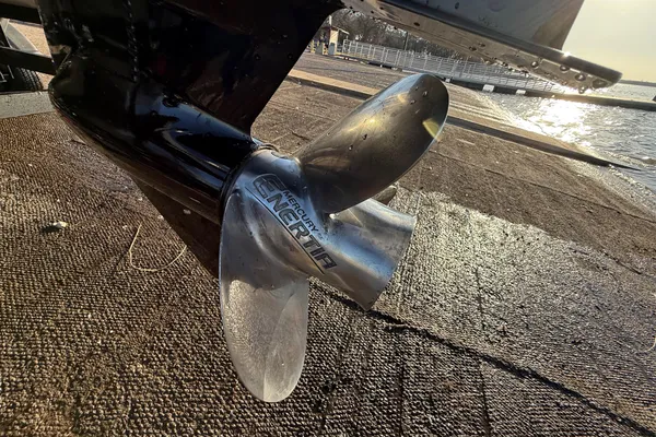 Sun-tracker PARTY-BARGE-24-DLX image