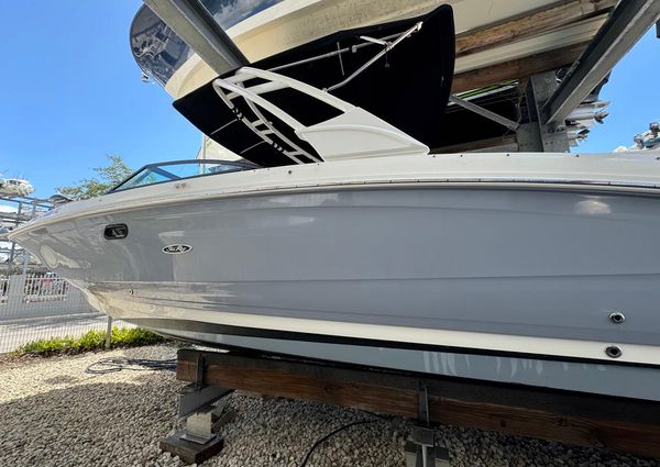 Sea Ray 290 SDX OUTBOARD image