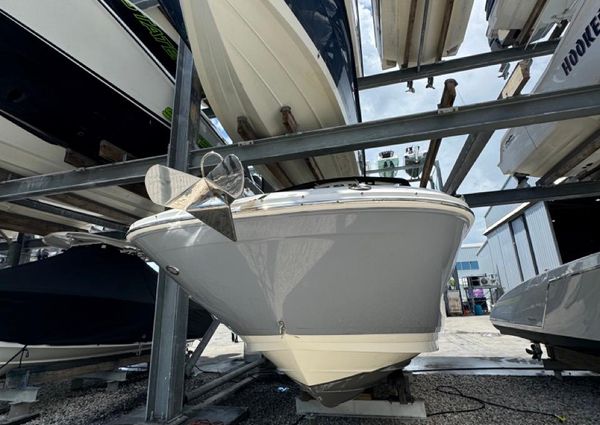 Sea Ray 290 SDX OUTBOARD image