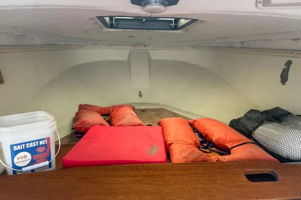 Boston-whaler REVENGE-20 image