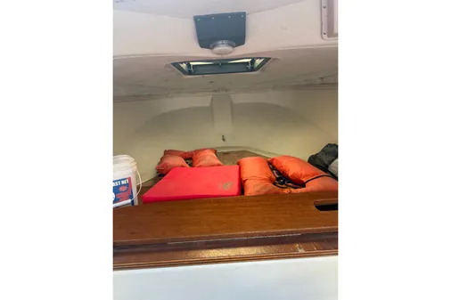 Boston-whaler REVENGE-20 image