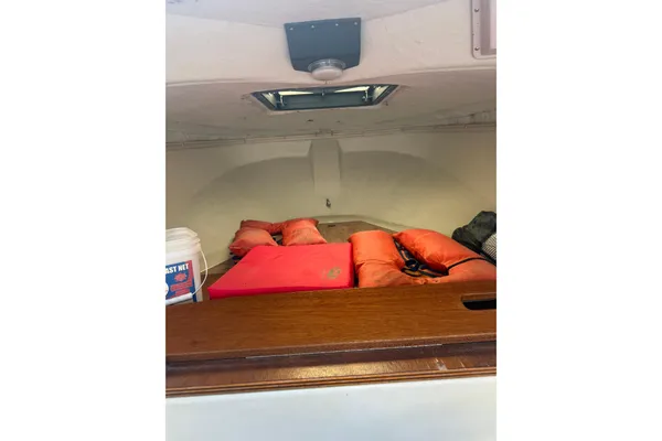 Boston-whaler REVENGE-20 image