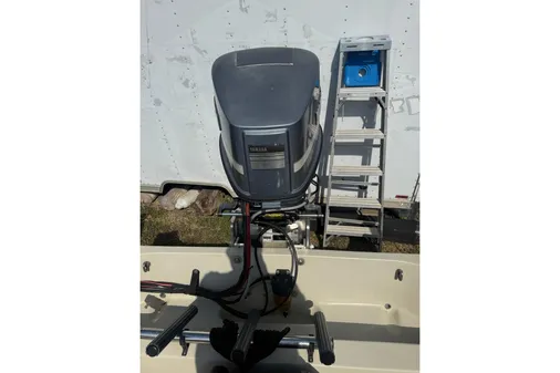 Boston-whaler REVENGE-20 image