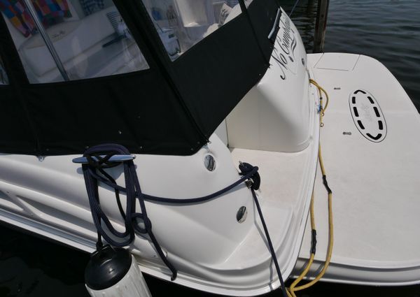 Sea-ray 360-SUNDANCER image