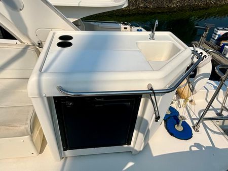 Meridian 490 Pilothouse image