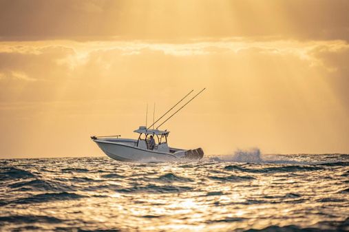 Yellowfin 34 image