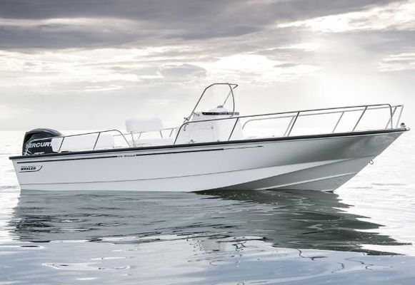 Boston-whaler 210-MONTAUK - main image