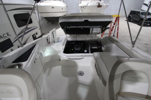 Sea-ray 260-SUNDECK image