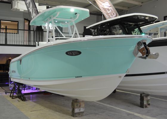 Blackfin 252 CC - main image
