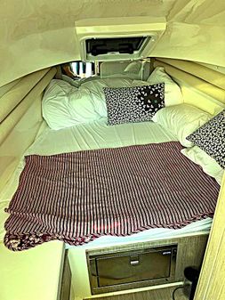 Nuova Jolly Prince 33 SPORT CABIN image