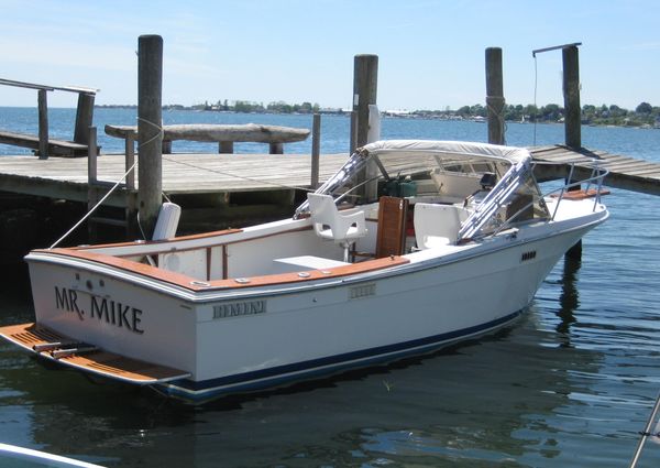 Bimini 24 image