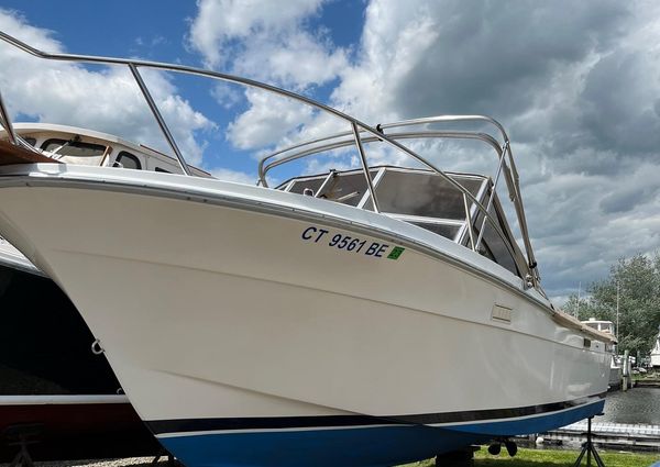 Bimini 24 image