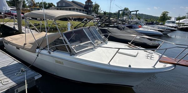 Bimini 24 image