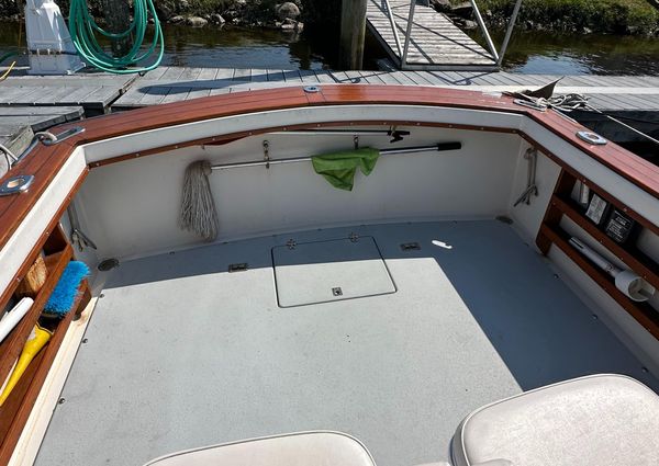 Bimini 24 image