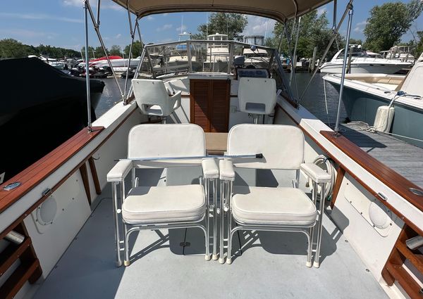 Bimini 24 image