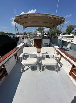 Bimini 24 image