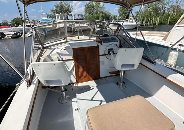 Bimini 24 image