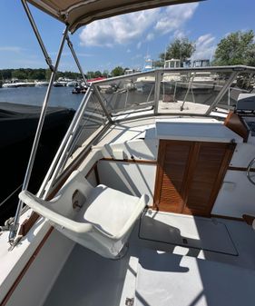 Bimini 24 image