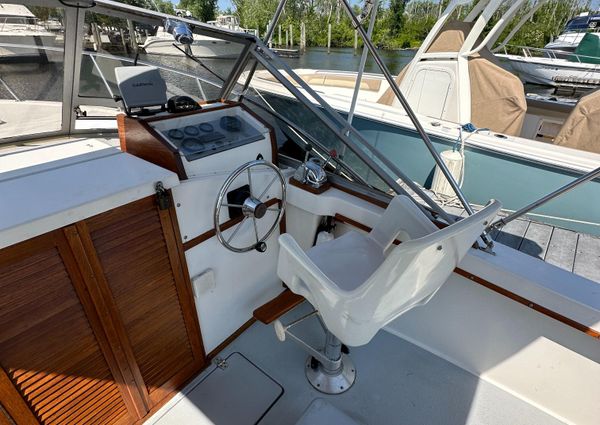 Bimini 24 image