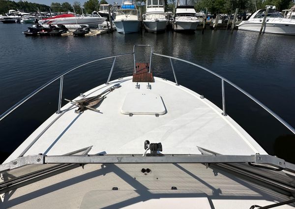 Bimini 24 image