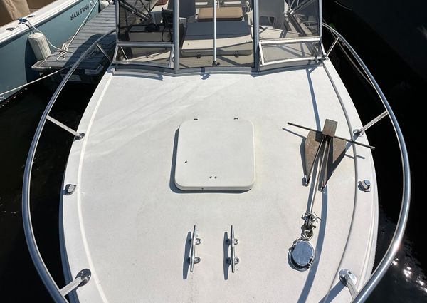 Bimini 24 image