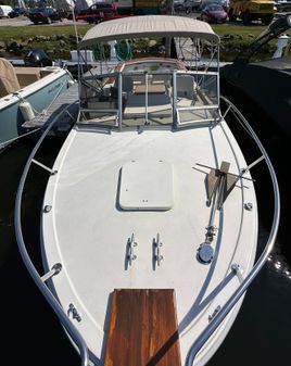 Bimini 24 image