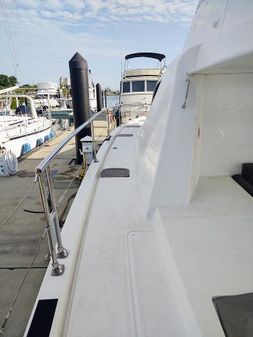 Leopard 51-POWERCAT image