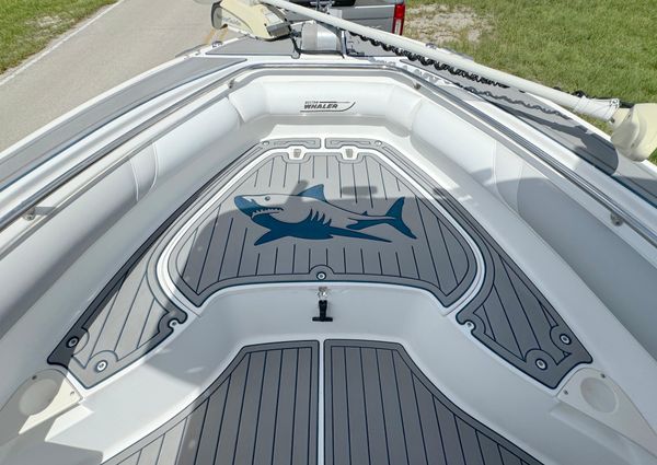 Boston-whaler 240-OUTRAGE image