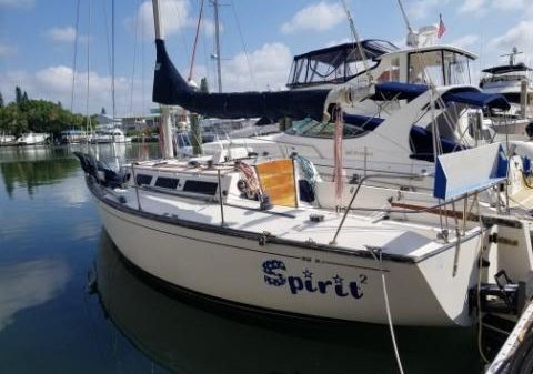 S2 9.1