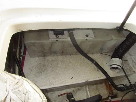 Bayliner 285 image