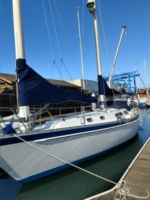Freedom 39 - main image