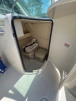 Sea Ray 22' Bowrider image