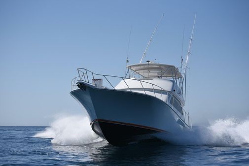 Viking 55 Convertible image