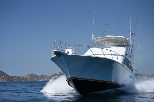 Viking 55 Convertible image