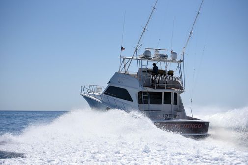 Viking 55 Convertible image