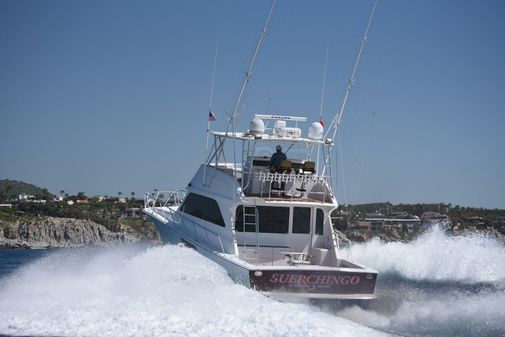 Viking 55 Convertible image