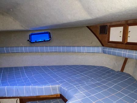Carver 3607 Aft Cabin image