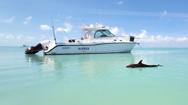 Boston Whaler Conquest 345 