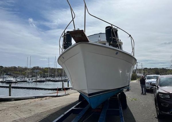 Cape-dory 33 image