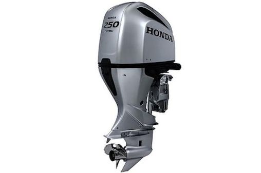 Honda BF250 image