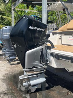 Sea Ray SDX 250 Outboard image