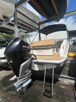 Sea Ray SDX 250 Outboard image