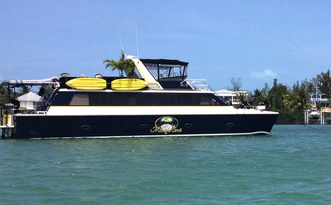 Carri-Craft 60 Power Catamaran - main image