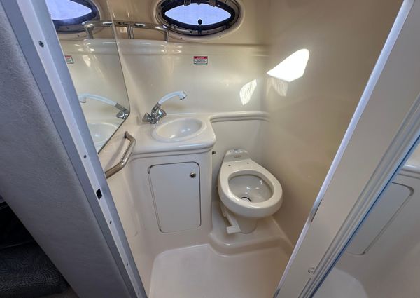 Sea Ray 260 Sundancer image