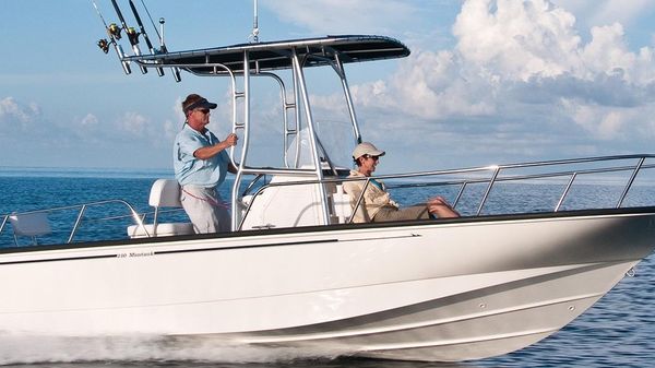 Boston Whaler 210 Montauk 