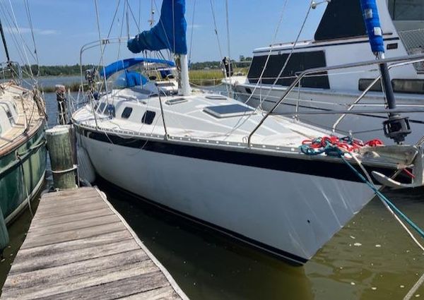 Hunter 34 image