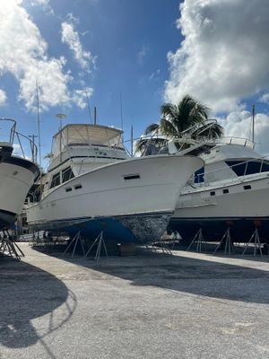 Concorde Sportfish - main image