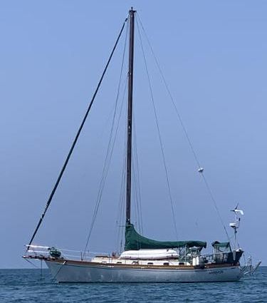 Ta-shing BABA-PANDA-40 image