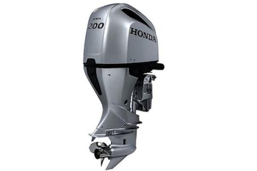 Honda BF200DXCRA WT image