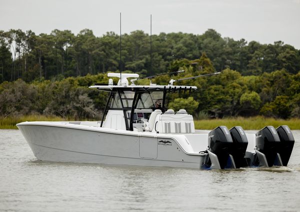 Invincible 35 Catamaran image